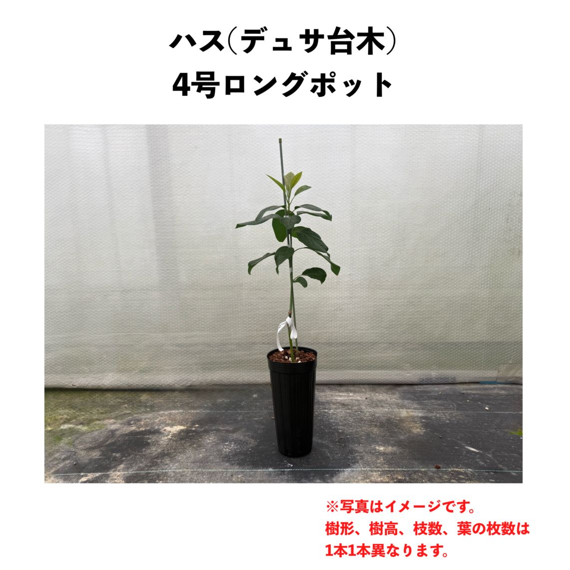 000000000756_F1wxrvS.jpg