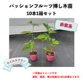 ѥåե롼 ֻϲ̼ ݥå 1Ȣåȡޤڡˡڢξʤ¾ڤƱǤޤ