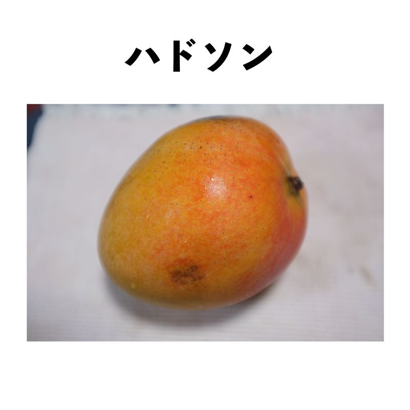 ϥɥ ݥå  () Hodsonåޥ󥴡