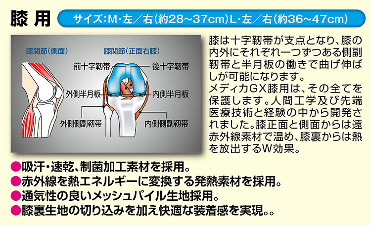 ��ǥ����ǣ� ɨ�� ��������M��L������