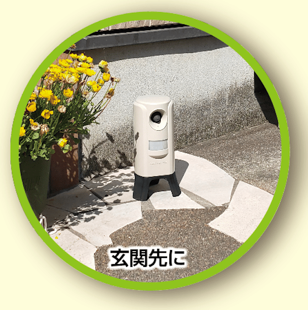 �����ǥ�Хꥢ�������饷�ݥ��ƥ��󥰥����ڡ���