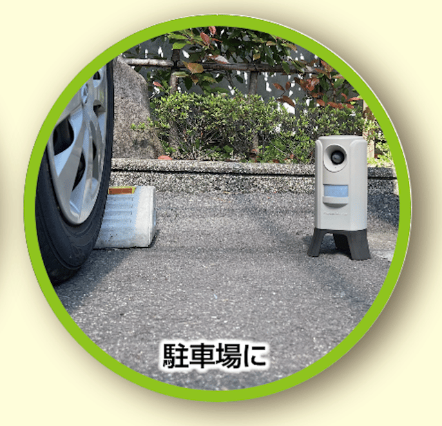 �����ǥ�Хꥢ�������饷�ݥ��ƥ��󥰥����ڡ���