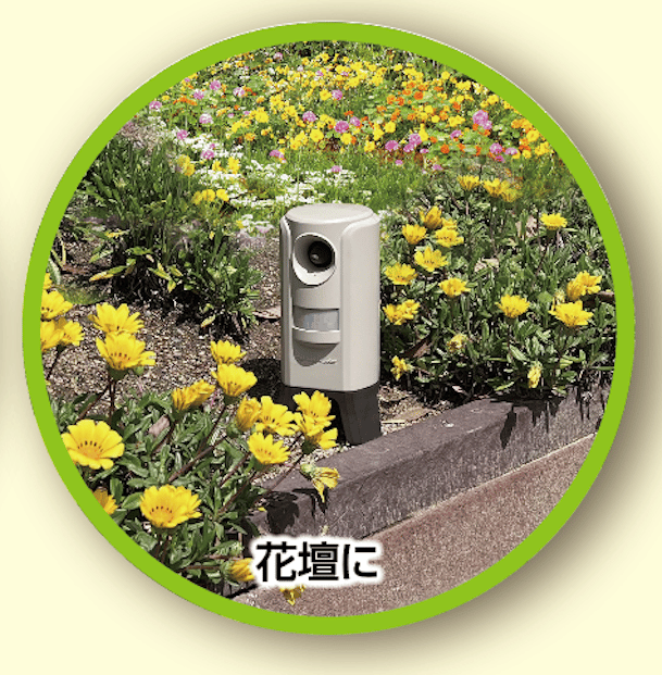 �����ǥ�Хꥢ�������饷�ݥ��ƥ��󥰥����ڡ���