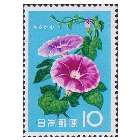 あさがおページ Amazon.co.jp: 変化朝顔図鑑: アサガオとは思えない珍花奇葉の