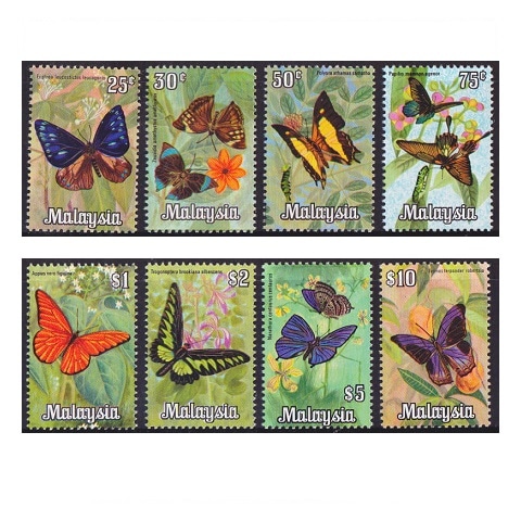 �ޥ졼����