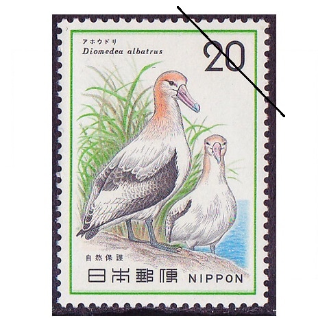 �ڼ����ݸ�꡼���ۥ��ۥ��ɥ�