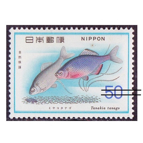 �ڼ����ݸ�꡼���ۥߥ䥳���ʥ�