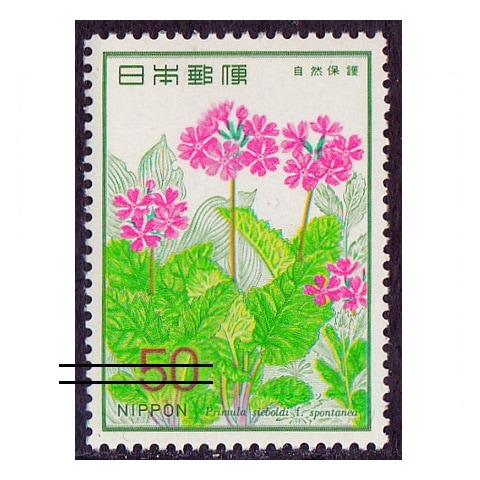 �ڼ����ݸ�꡼���ۥ����饽��