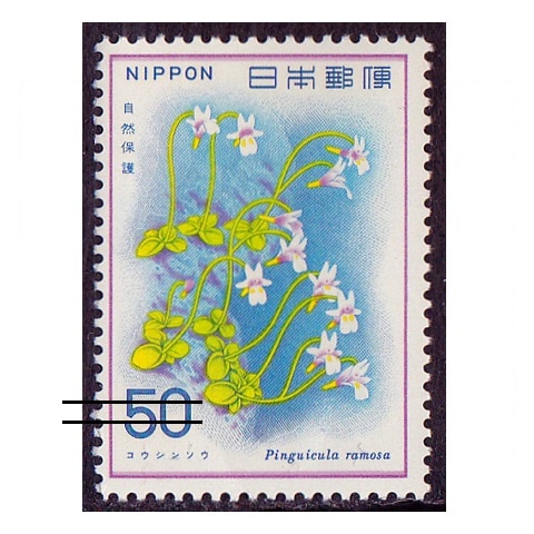 �ڼ����ݸ�꡼���ۥ������󥽥�