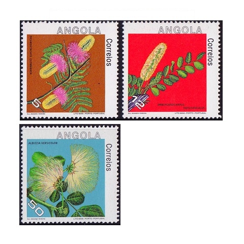 アンゴラ | ☆外国切手アウトレット☆,植物,花・木 | 切手の専門店