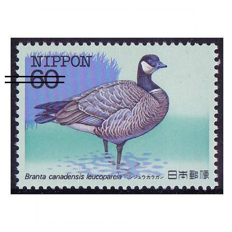 4249 外国切手 バルバドス 1979年 鳥類 シリーズ20種 希少高評価品 4249 外国切手 バルバドス 1979年 鳥類 シリーズ20種 希少高評価
