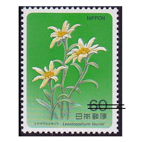 1978年 山茶花 切手 2元 1030）「山茶花の花」 5枚組ポストカード | iichi 日々の暮らし