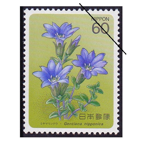 �ڹ⻳��ʪ���꡼�����裵�����ߥ�ޥ��ɥ�