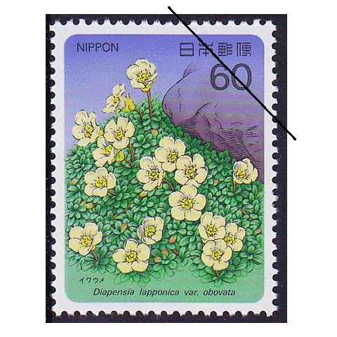 �ڹ⻳��ʪ���꡼�����裷�������復��