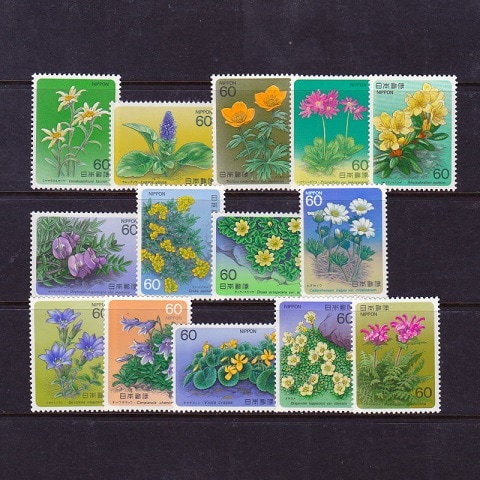 �ڹ⻳��ʪ���꡼���ۡ�ñ�ҡ���14�糧�å�