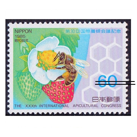 �����˪���