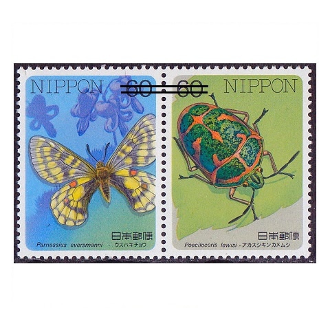 �ں���꡼�����裱���������Х����祦¾