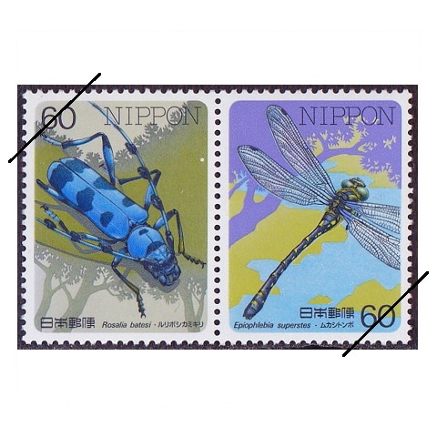 �ں���꡼�����裱�������ܥ����ߥ���¾