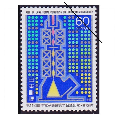 �ŻҸ������ز�