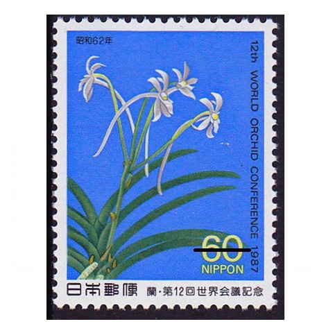 ����������ġ��ե����