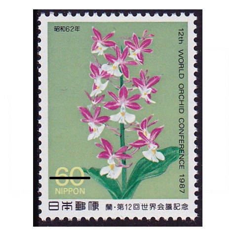 ����������ġ��˥������ӥ�