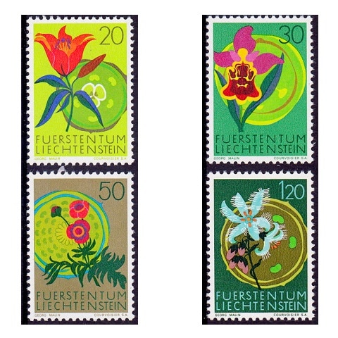 ��ҥƥ󥷥奿����