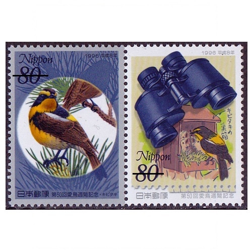 �裵����Ļ����