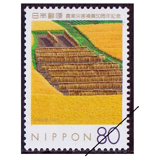 ���Ⱥҳ����������ǯ