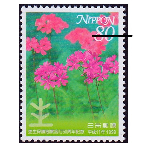 �����ݸ����ٻܹԣ�����ǯ