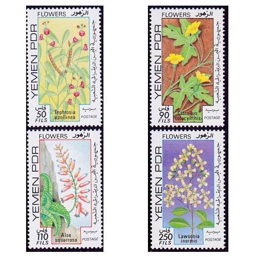 3412 外国切手 YEMEN イエメン 1990年 蝶々 シリーズ 3412 外国切手 YEMEN イエメン 1990年 蝶々 シリーズ 3412 外国切手