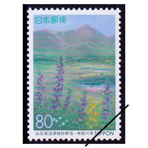 ���и�������ʪ��������