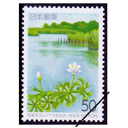 ˡ¢���¥ॸ�ʥ⼫���ϡ���̸�