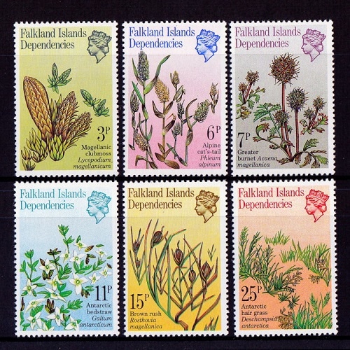 79593セール現品限　外国切手　ポーランド発行植物8種揃 フォークランド島 | ☆外国切手アウトレット☆,植物,花・木 | 切手の