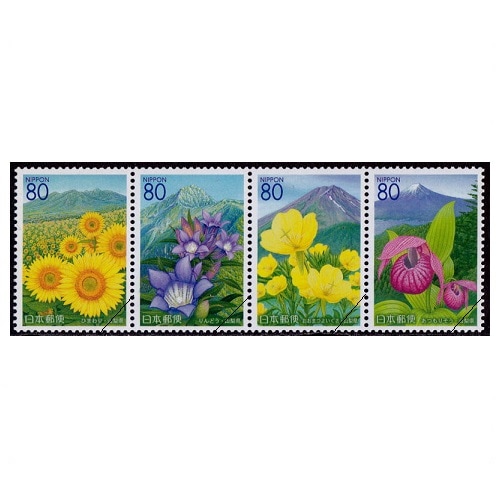 �����β֡�������