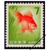 裱޻ۡʣߡ