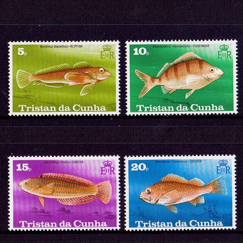 3544 外国切手 ミクロネシア 1995年魚類シリーズ 美しい 4種完 3544 外国切手 ミクロネシア 1995年魚類シリーズ 美しい 4種完