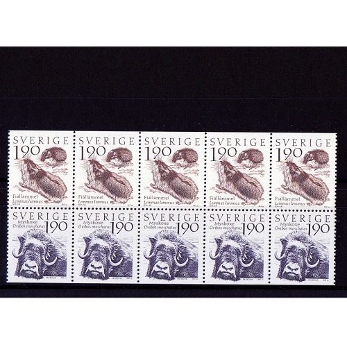 ���������ǥ�