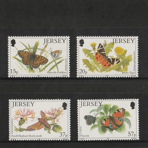 ���㡼����