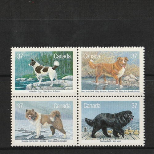 3029 外国切手 オーストラリア 1991年 犬 猫 動物 4種完 3029