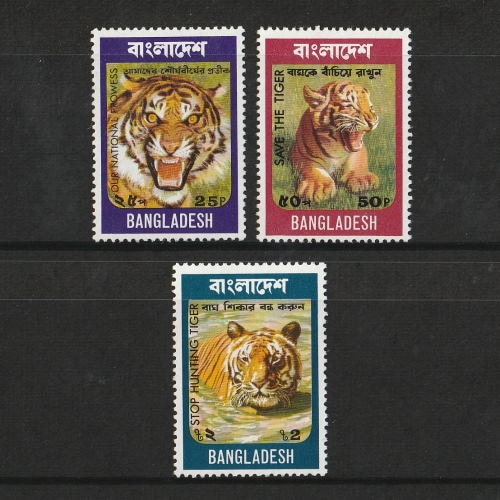 �Х󥰥�ǥ���