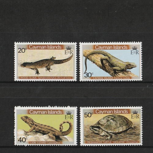 �����ޥ���