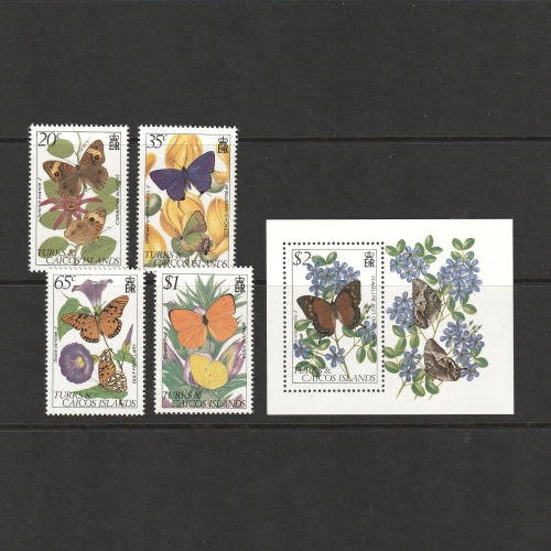 ����������������������