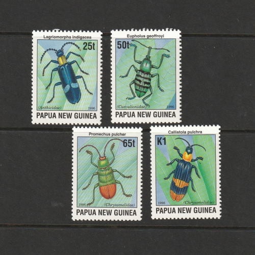 �ѥץ��˥塼���˥�