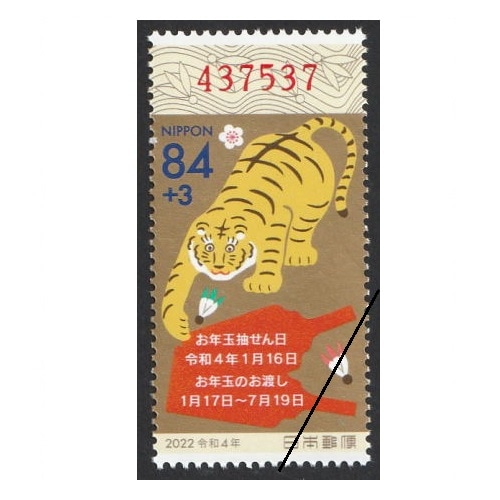 ǯڼꡡ£ǯѡʤդ84̡߳