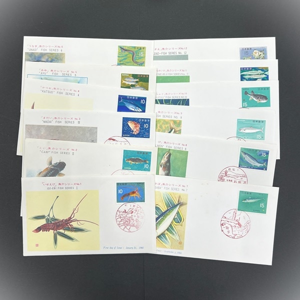 ���𥷥꡼�����������С�����12����å�