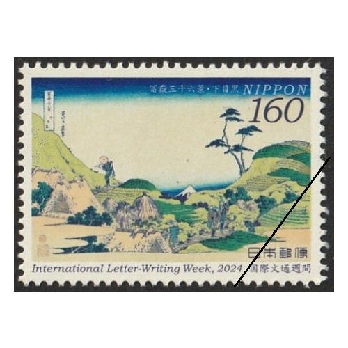 ���ʸ�̽��֡�2024ǯ��