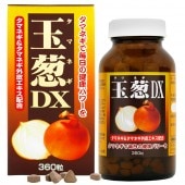 ǬDX 12ĥå (360γ12)ء