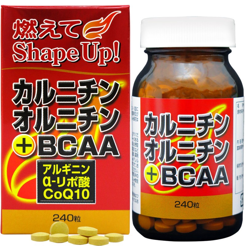 ˥󡦥˥+BCAA (240γ)ء