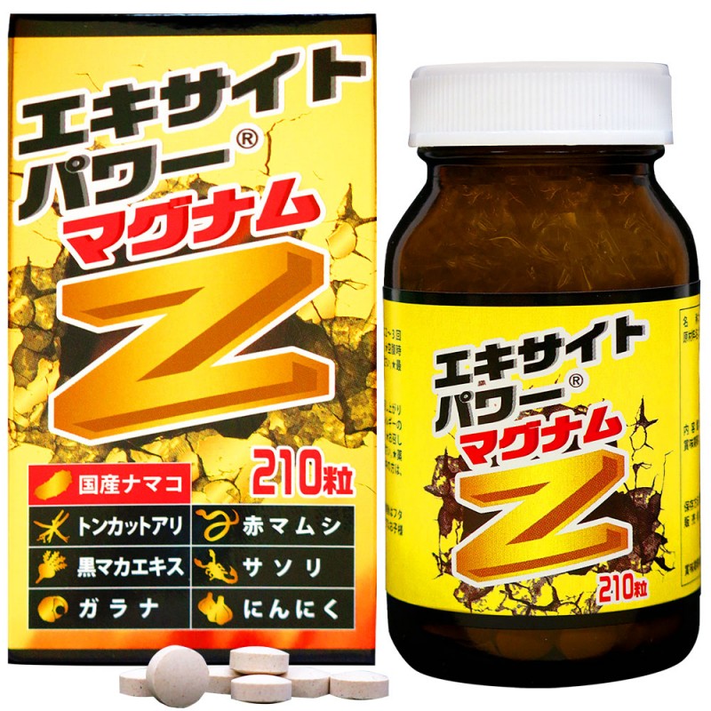 ����¤��λ�˥��������ȥѥ �ޥ��ʥ�Z (210γ)�������ء�