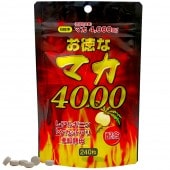 ����¤��λ�˥�����ɥѥå� �����ʥޥ�4000 (240γ)�ڥ᡼���ء�